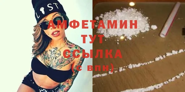 прущие грибы Аркадак
