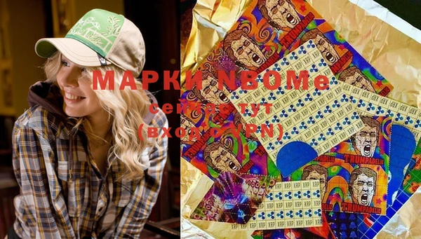 прущие грибы Аркадак