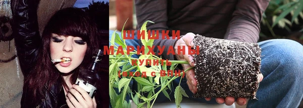 прущие грибы Аркадак