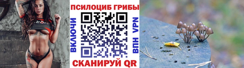 Галлюциногенные грибы прущие грибы  где продают   Струнино 